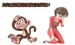 网站改版后的尴尬：度娘为何还在收录你的网站死链？